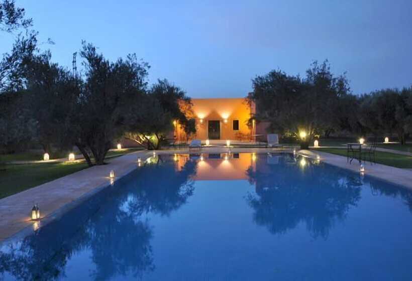 مسافرخانه Les Oliviers De L Atlas