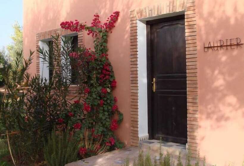 مسافرخانه Les Oliviers De L Atlas