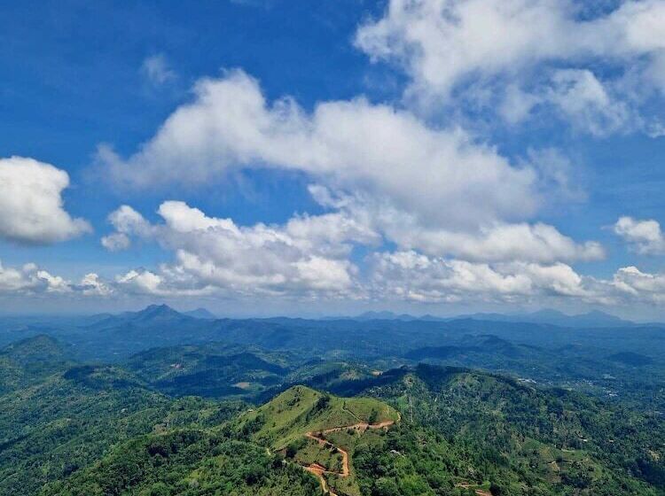 簡易ホテル Toropi Homestay