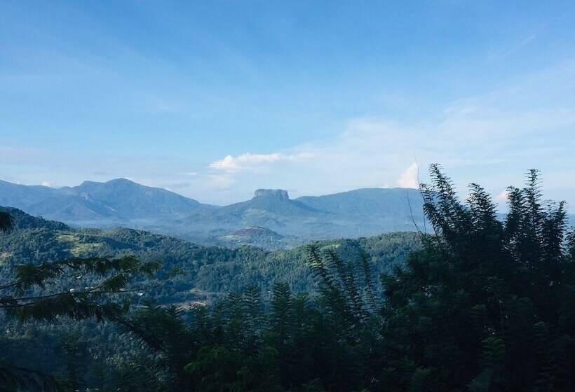 簡易ホテル Toropi Homestay