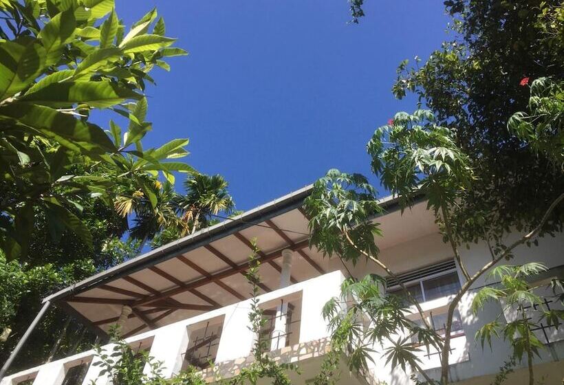 簡易ホテル Toropi Homestay