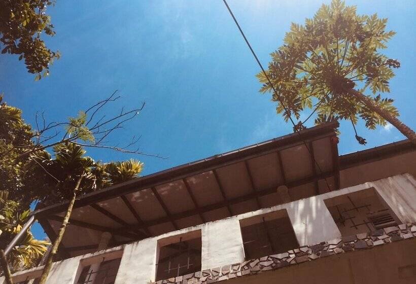 簡易ホテル Toropi Homestay