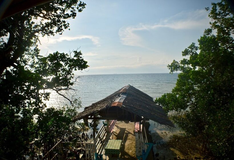 호텔 Alegria Dive Resort