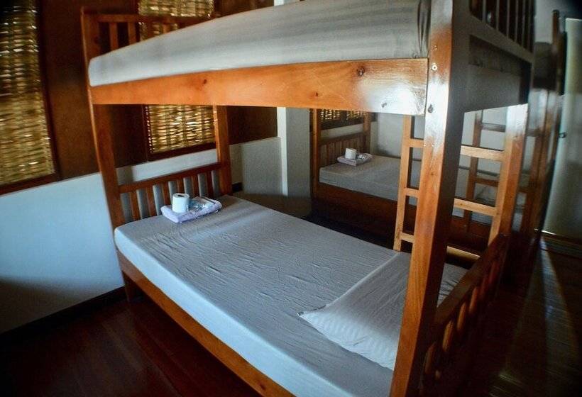 호텔 Alegria Dive Resort