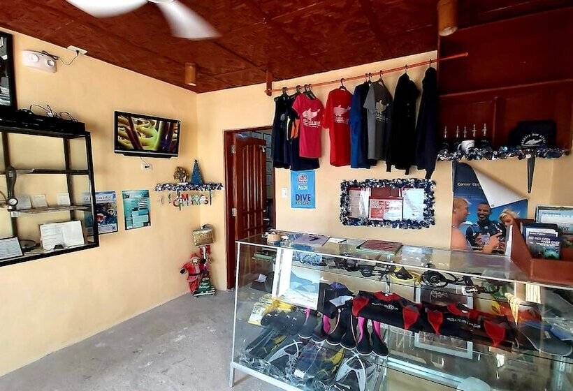 호텔 Alegria Dive Resort