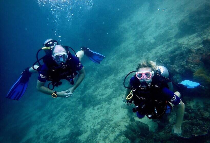 호텔 Alegria Dive Resort