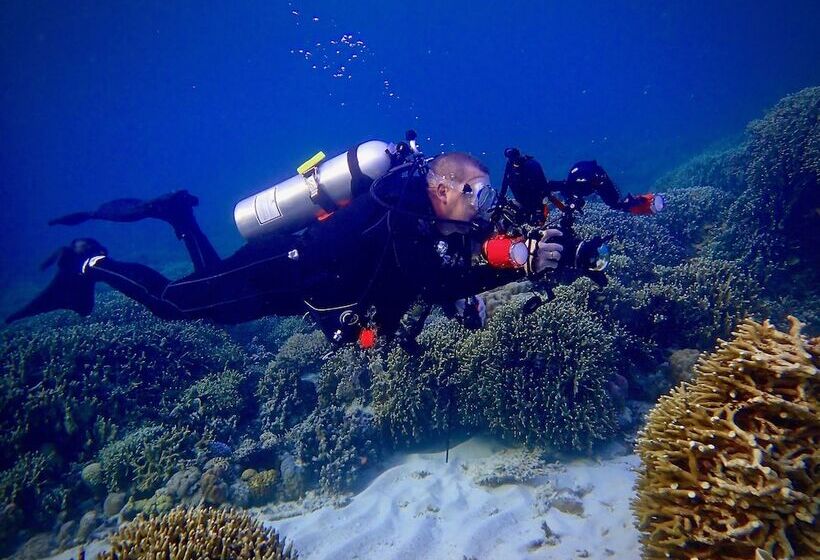 호텔 Alegria Dive Resort