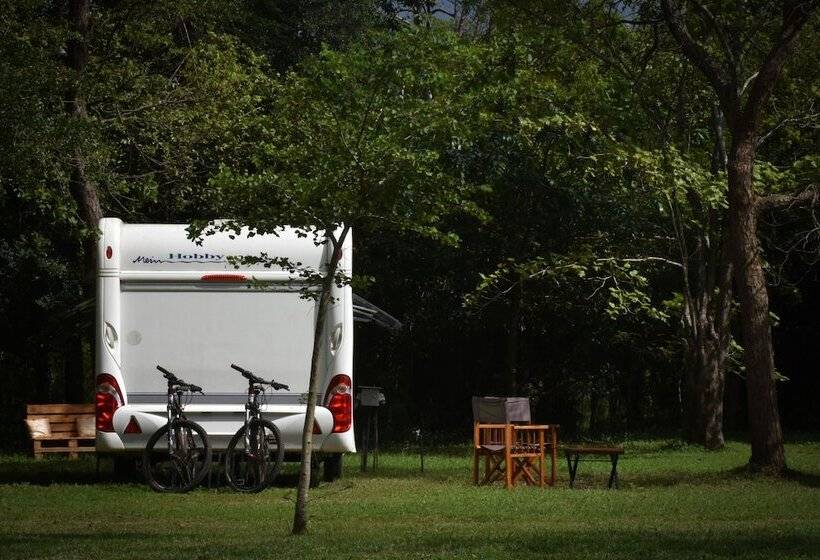 酒店 Big Game On Wheels   Wilpattu