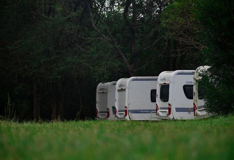 酒店 Big Game On Wheels   Wilpattu