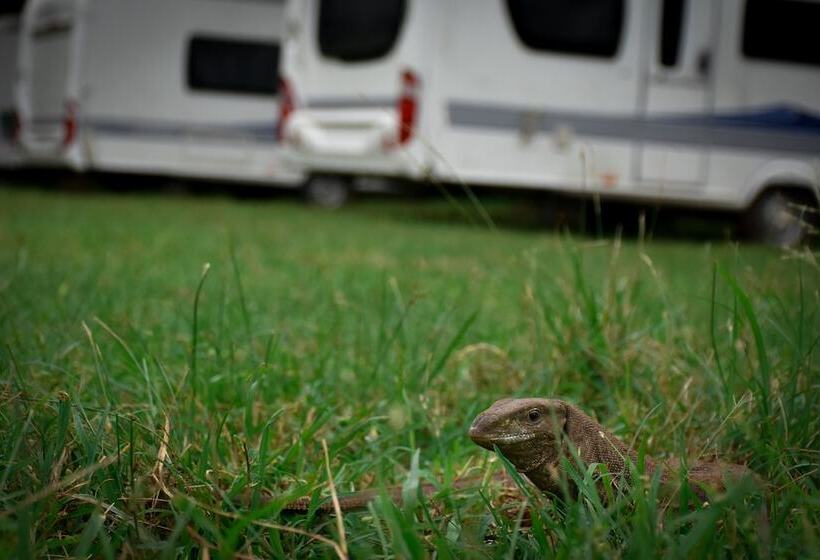 酒店 Big Game On Wheels   Wilpattu