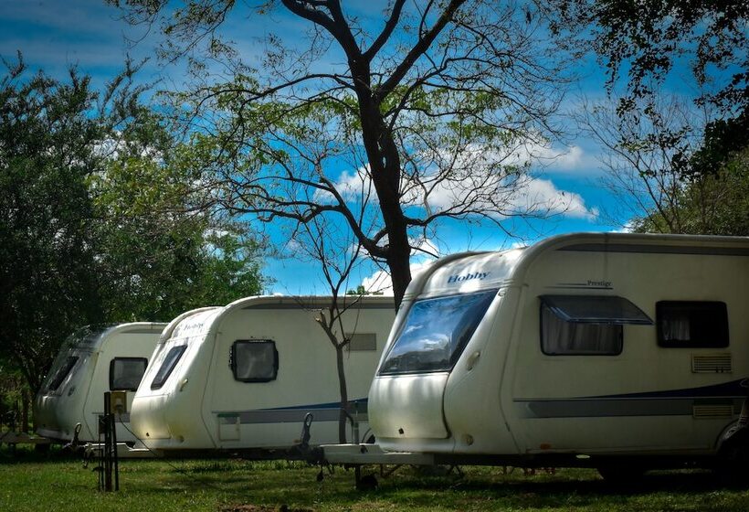 酒店 Big Game On Wheels   Wilpattu