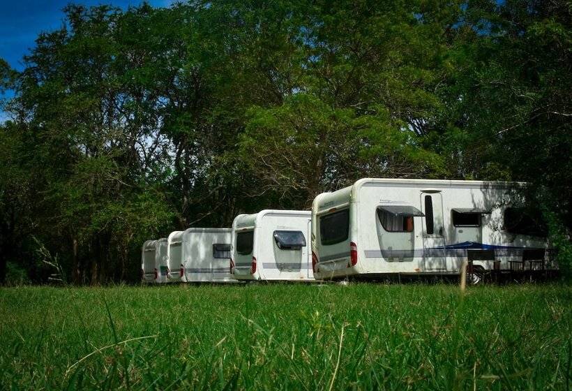 酒店 Big Game On Wheels   Wilpattu