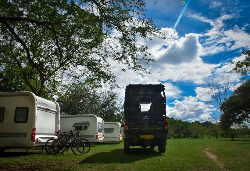 酒店 Big Game On Wheels   Wilpattu