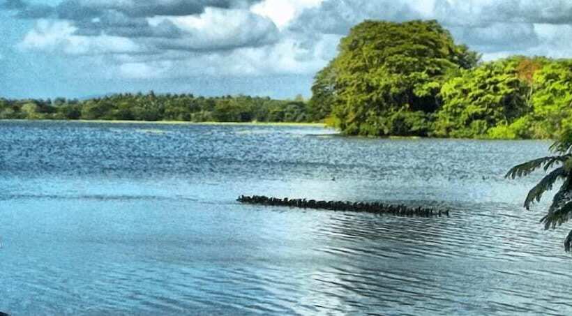 Отель Buddi Samudra