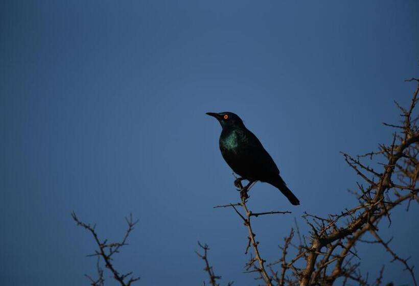 ホテル Burlington Bush Cottages By The Oyster Collection