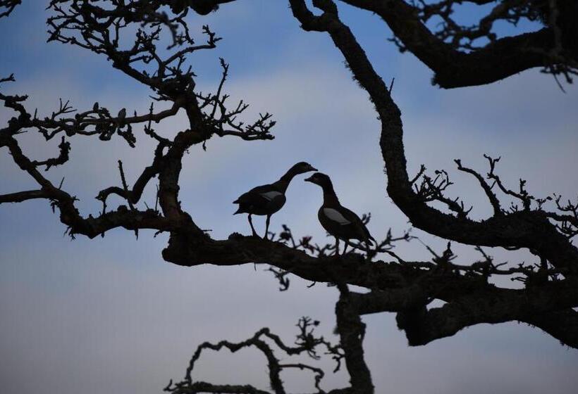 ホテル Burlington Bush Cottages By The Oyster Collection