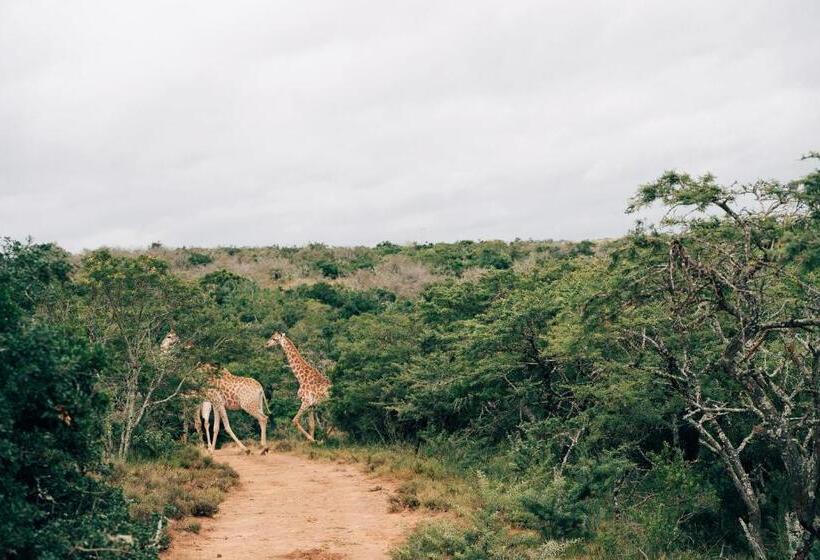 酒店 Burlington Bush Cottages By The Oyster Collection