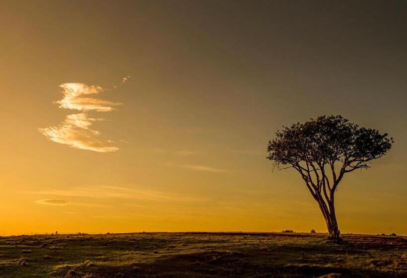 ホテル Burlington Bush Cottages By The Oyster Collection