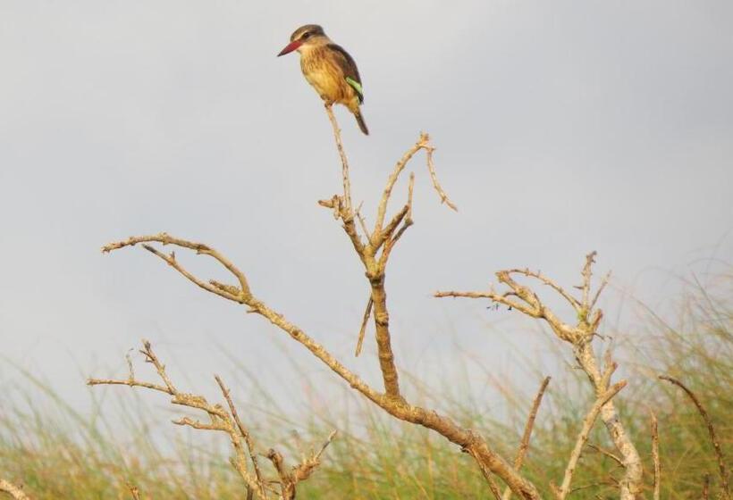 ホテル Burlington Bush Cottages By The Oyster Collection