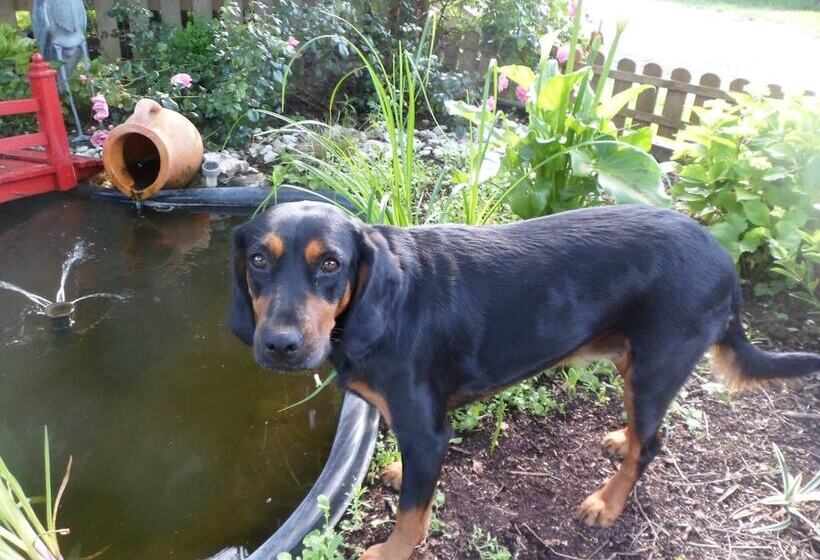 호텔 Camping Loisirs Des Groux