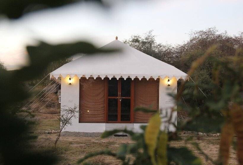 בית מלון כפרי Chandraprabha Resort   Jawai