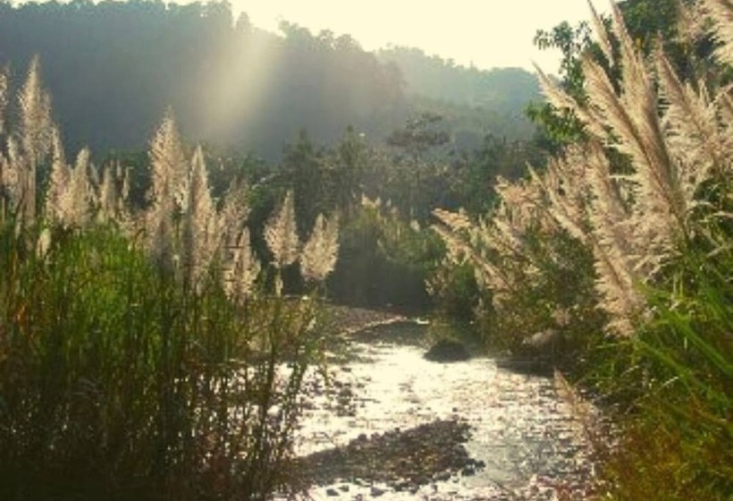 בית מלון כפרי Ecologic Thailand