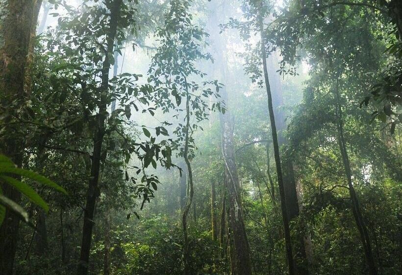 בית מלון כפרי Ecologic Thailand