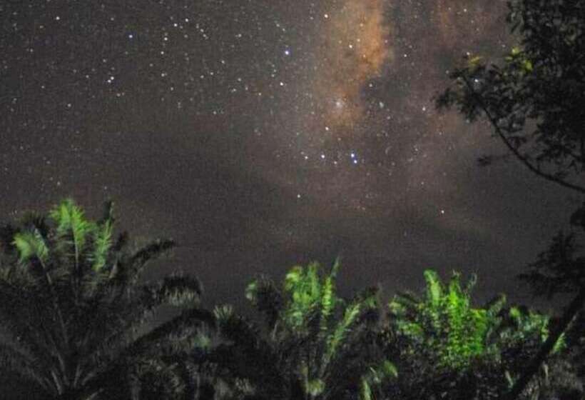 בית מלון כפרי Ecologic Thailand