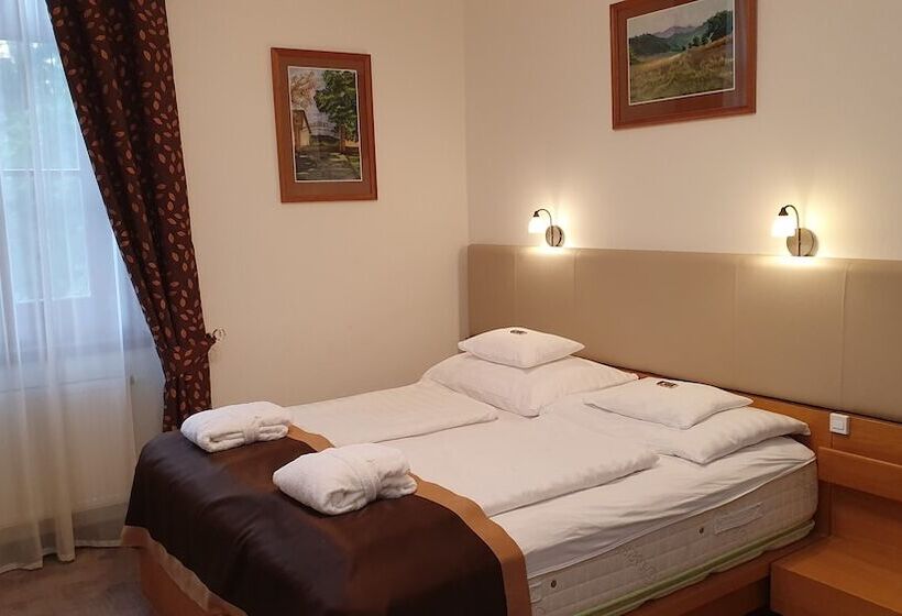 Hotel Főnix Wellness Resort