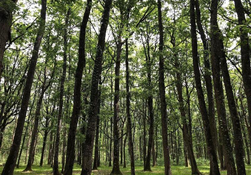 ホテル Loire Valley Lodges