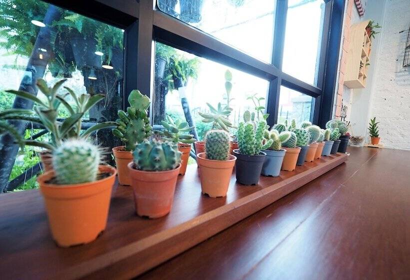 Отель Piccolo House