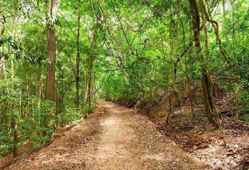 فندق Taylors Hill Boutique