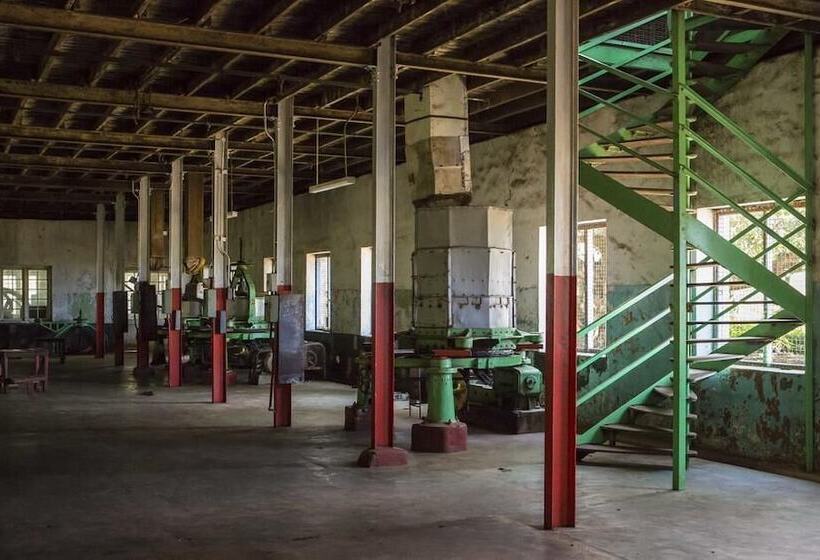 فندق Taylors Hill Boutique