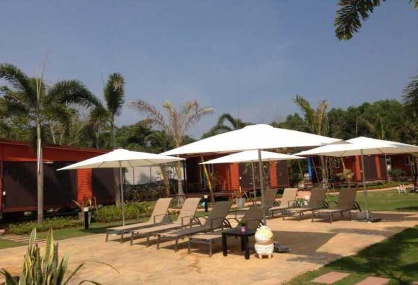 בית מלון כפרי The Toy Art Resort