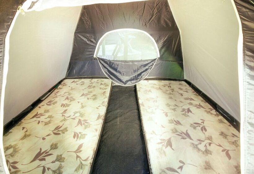 ホテル Velinn Camping Ilhabela