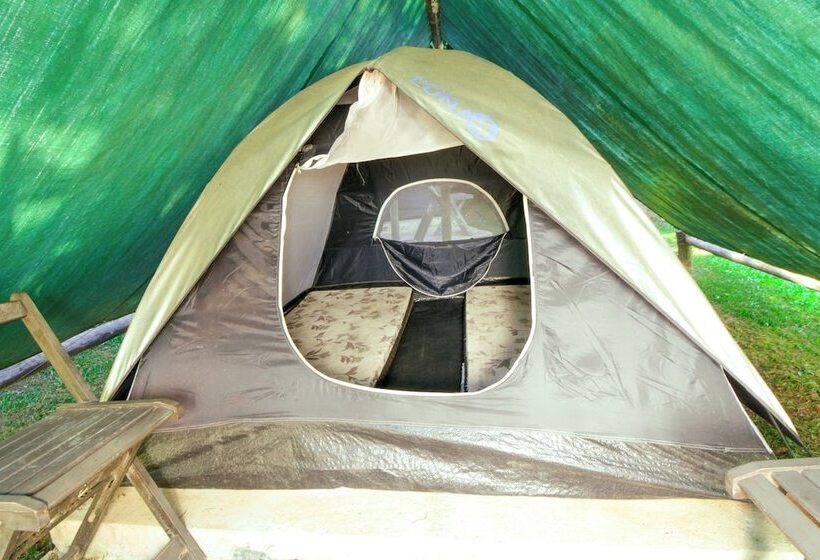 ホテル Velinn Camping Ilhabela