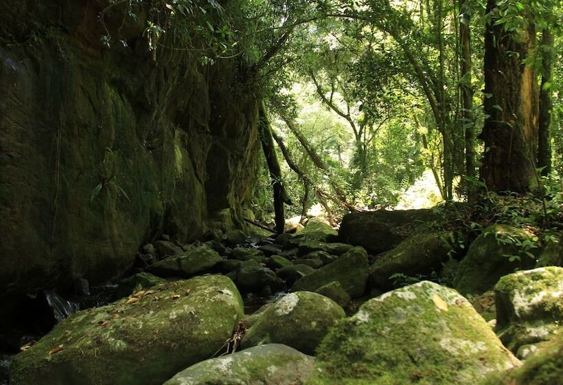 Junglez Eco Hostel