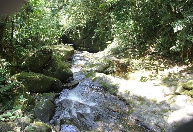 Junglez Eco Hostel