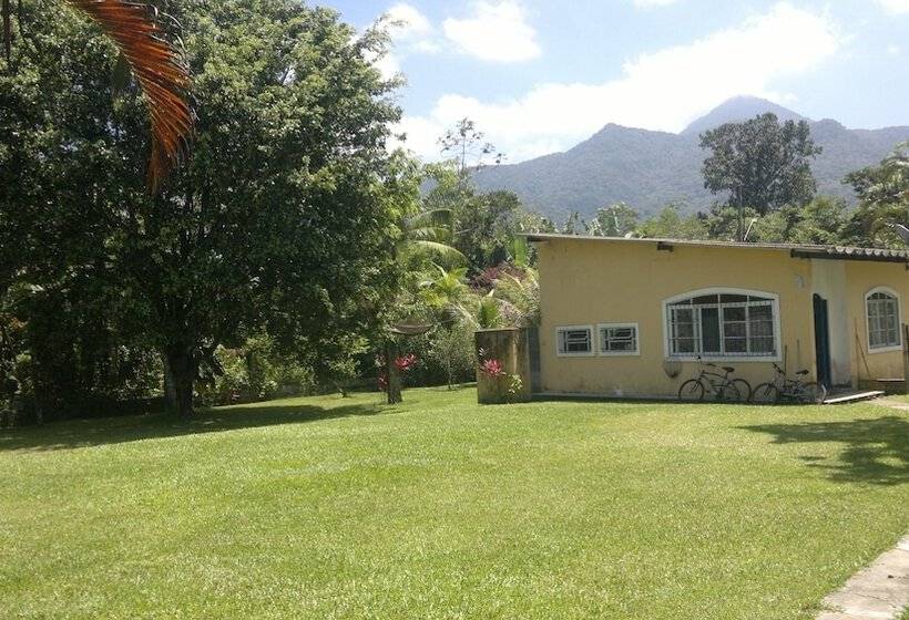 Junglez Eco Hostel