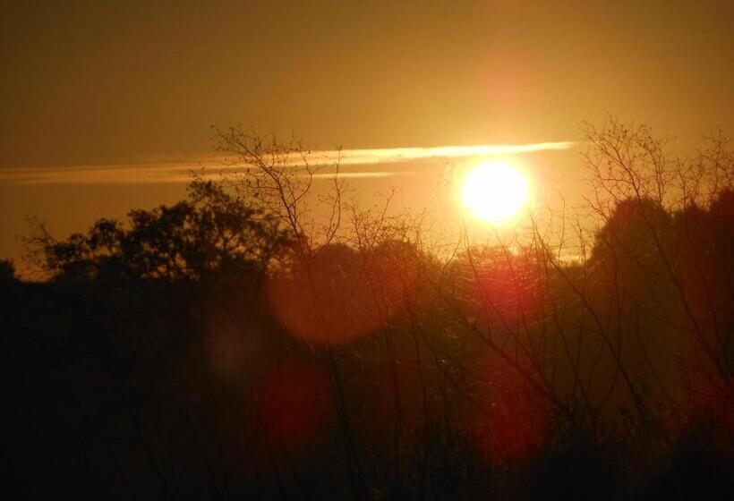 פנסיון Chambre D Hôtes La Basse Gougeonnière