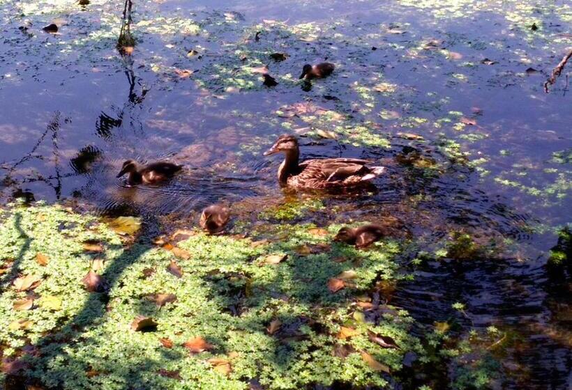 Пансион Chambres D Hôtes Coté Halles