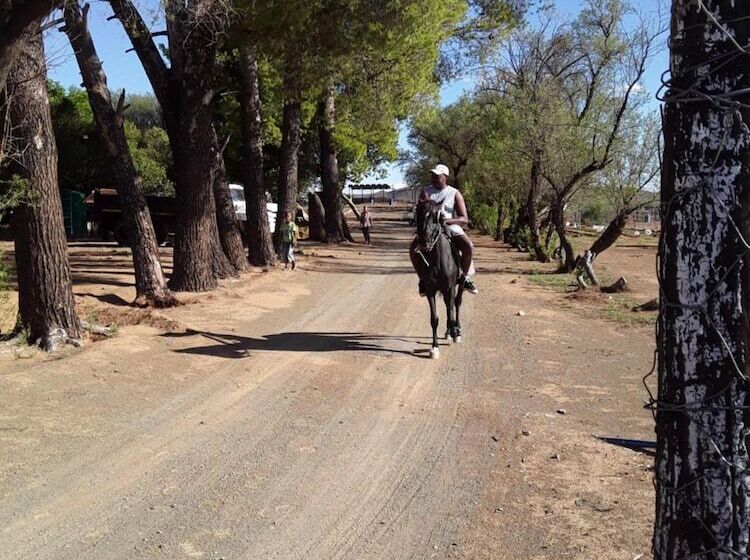 بنسيون Dellville Country House