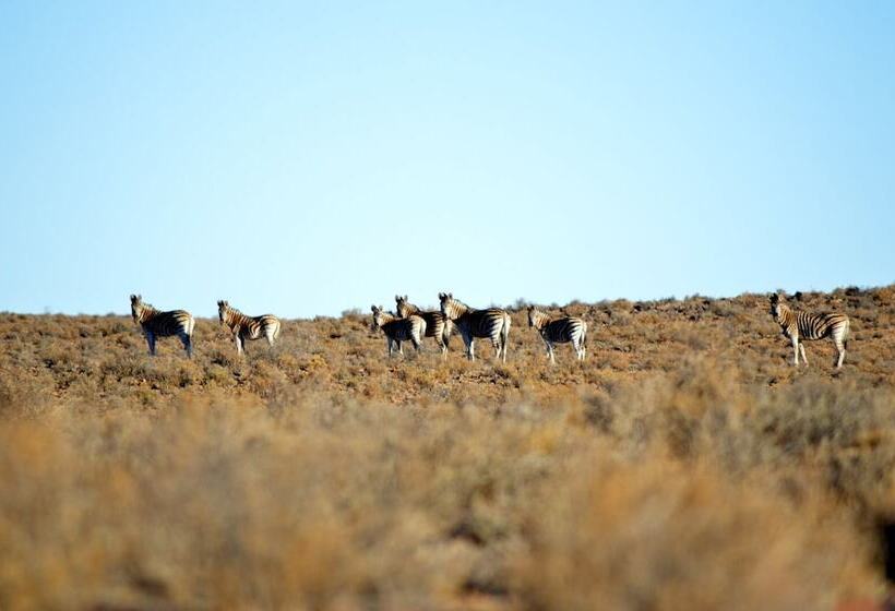 بنسيون Dellville Country House