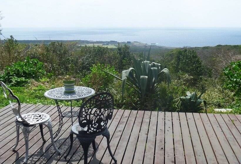 פנסיון Galaxy Guest House