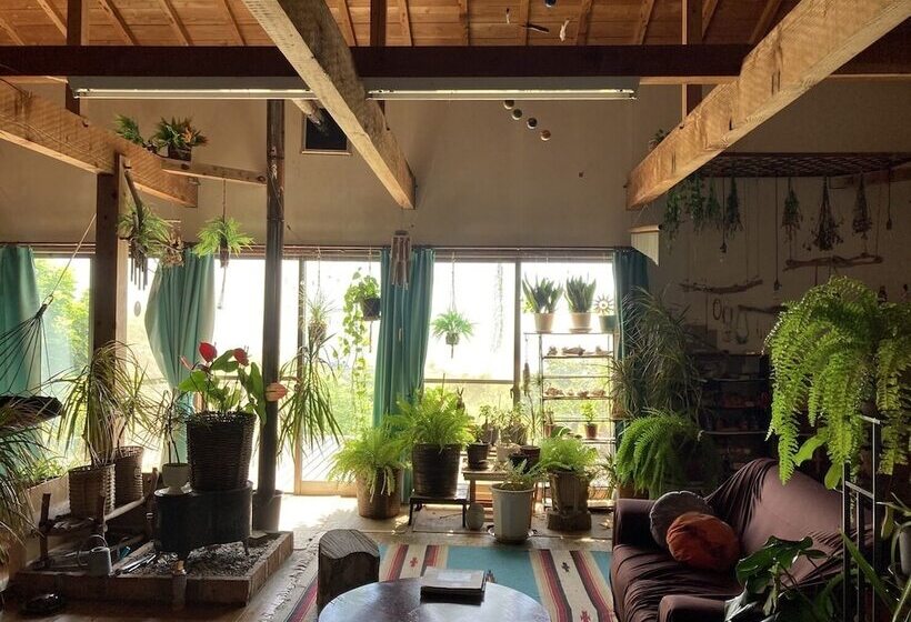 פנסיון Galaxy Guest House