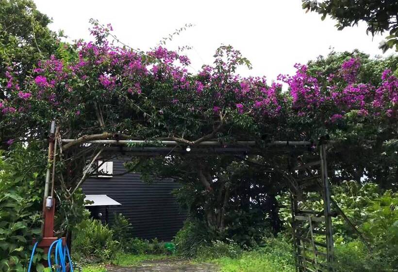 פנסיון Galaxy Guest House