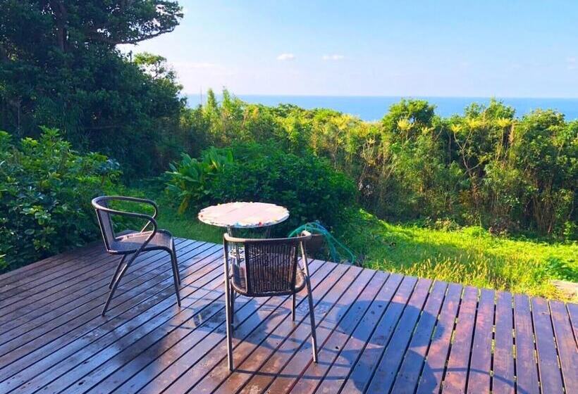 פנסיון Galaxy Guest House