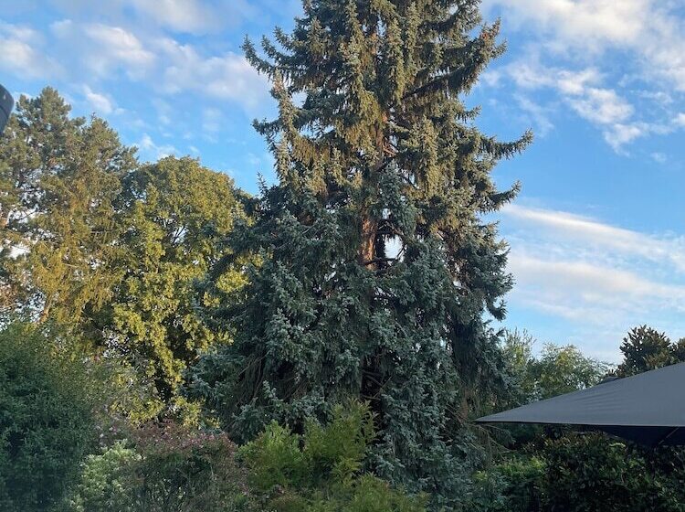 بنسيون Glycines Country Guesthouse