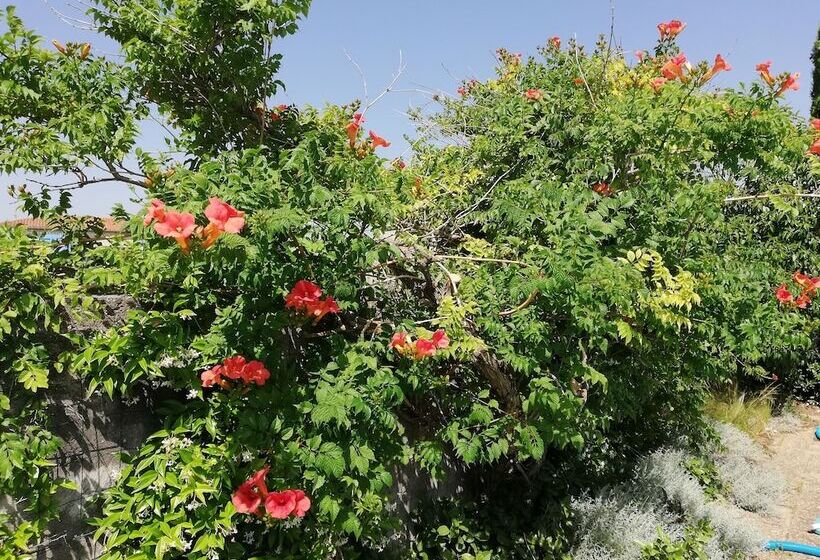 Пансион Maison D Architecte Chez Huguette