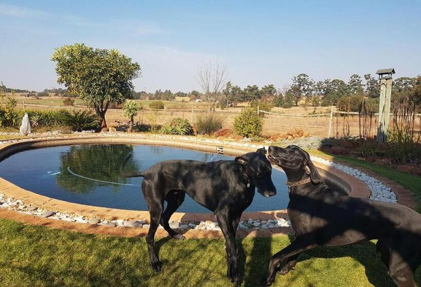 Пансион Myaula